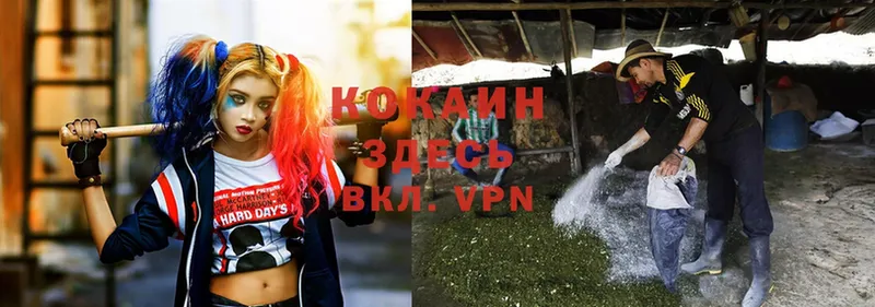 COCAIN Fish Scale  Наволоки 